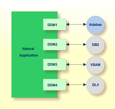 dbms structure. structures in the specific