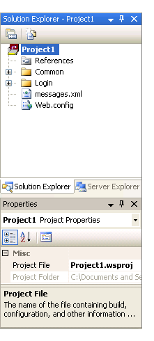 graphics/new-ws-project-in-solution-explorer-window.png