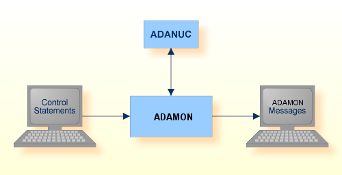 Procedure Flow ADAMON