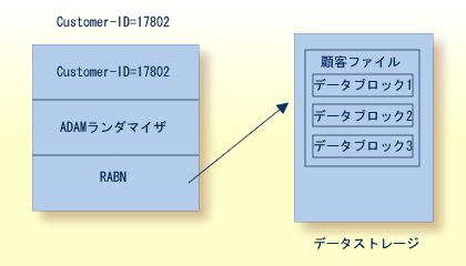 Adabas の使用