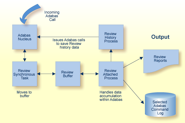 graphics/review_process_local.png