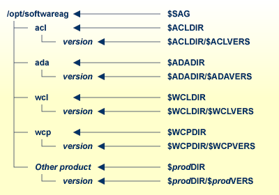 General directory structure