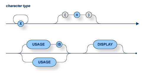The character type syntax is X, followed by (n), followed by USAGE (with optionial IS) and DISPLAY clauses.
