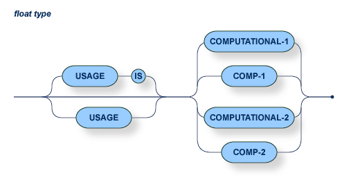 The float type syntax contains USAGE (with optional IS) and one of the following: COMPUTATIONAL-1, COMP-1, COMPUTATIONAL-2, COMP-2.