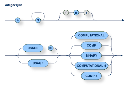 The integer type xyntax is s followed by 9 and (n), with a USAGE (with optionial IS) clause and then one of the following clauses: COMPUTATIONAL, COMP, BINARY, COMPUTATIONAL-4, or COMP-4.