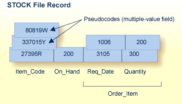 Example of a Multiple-Value Field