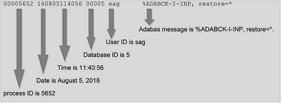 Example Logging