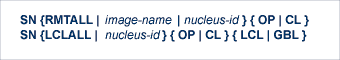 Set Nucleus Status Command Syntax