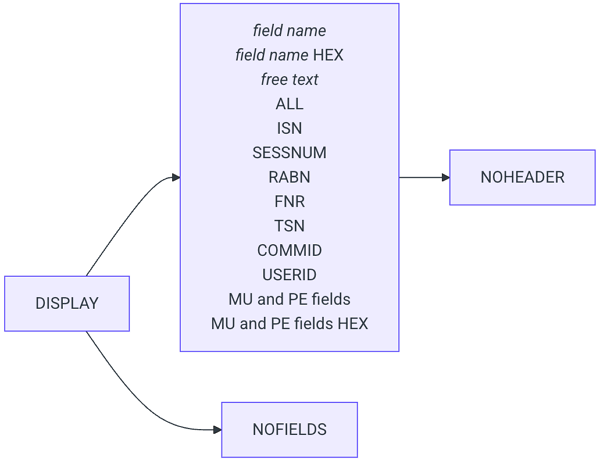 Illustration of the Control Flow of DISPLAY