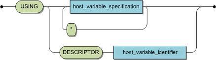 The syntax of the clause is USING, and either a * with a host_variable specification, or a DESCRIPTOR with a host variable specification.