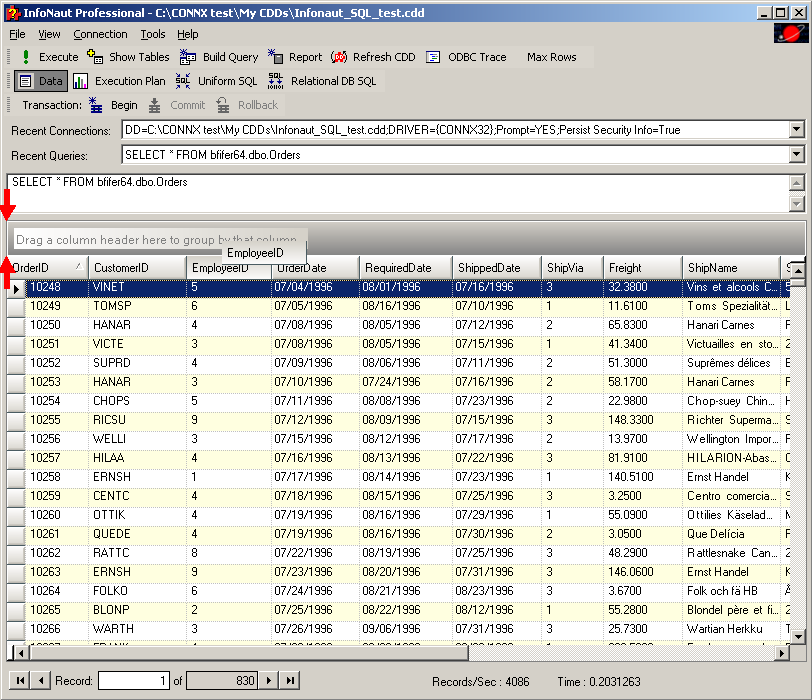 In this example, dragging the EmployeeID column to the "Drag a column header here to group by that column" pane will group the query by the contents of that column.