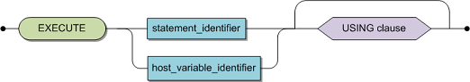 The syntax of the statement is EXECUTE followed by a statement or host variable indicator. You can add an optional USING clause.