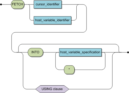 The syntax is FETCH, cursor or host variable identifier with optional INTO or USING clause. If you will use INTO,you can use * or a host variable specification.