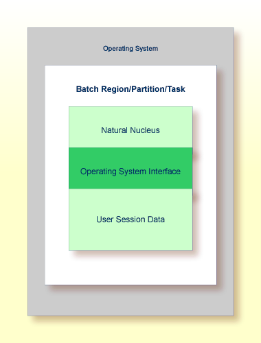 A work area of a Batch Region/Partition/Task containing of Natural Nucleus, Operating System Interface, User Session Data