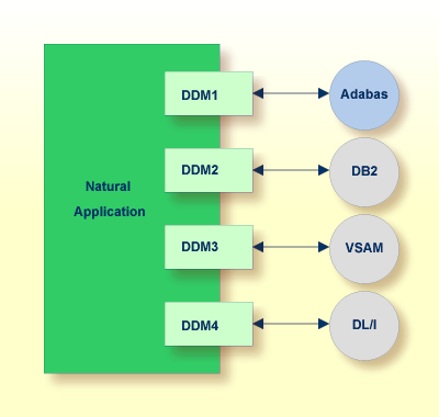 DDM! representing Adabas structure, DDM2 representing DB2 structure, DDM3 representing VSAM structure, DDM4 representing DL/I structure