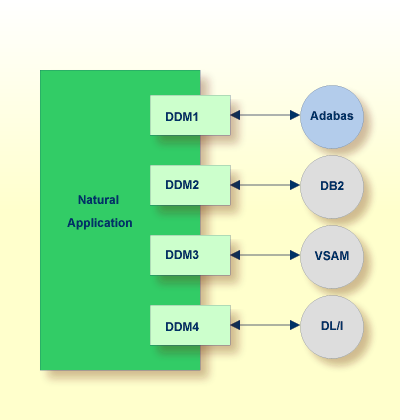 Natural Application DDM1-4