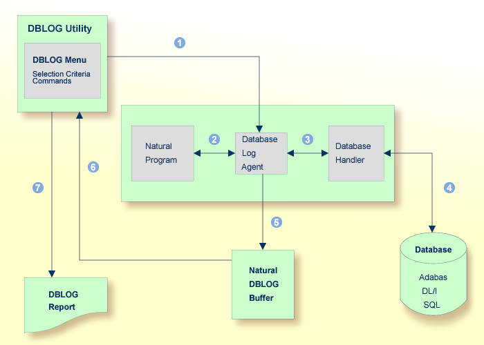 Diagram of the Basic Principles of Database Logging