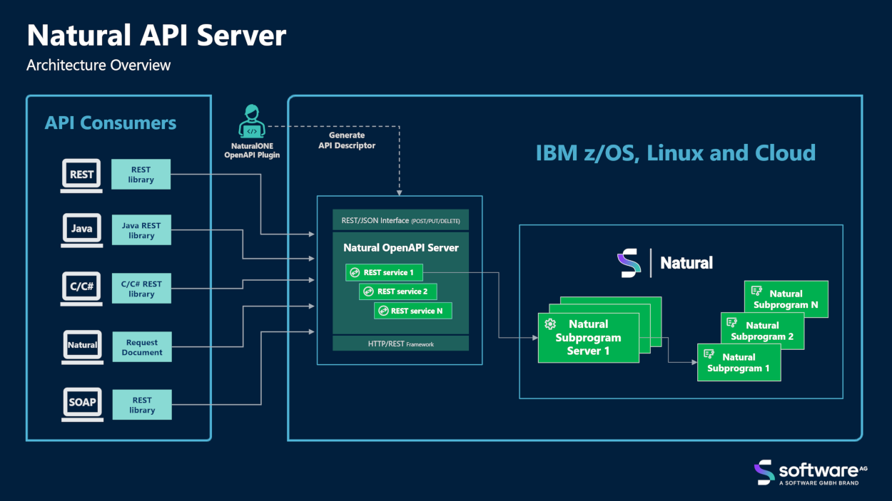 Natural API Server architecture