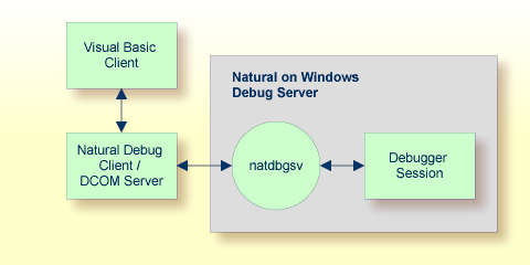 Debug heterogeneous application