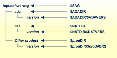 General directory structure