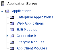 Application Server