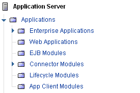 Application Server