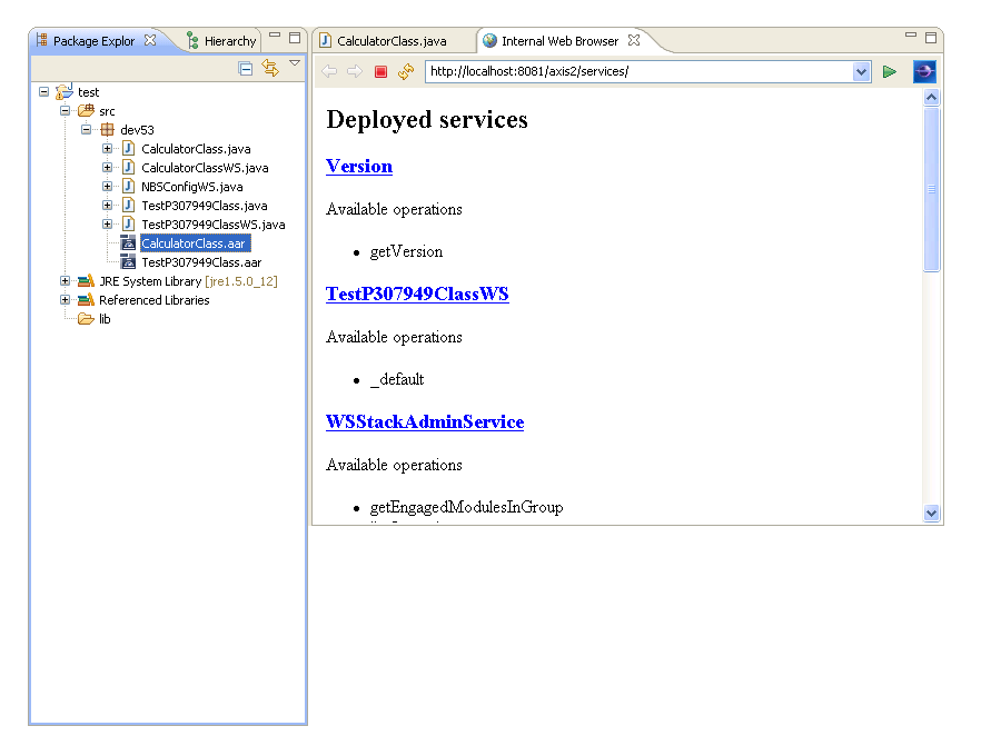 graphics/java-original-deploy-web-service.png