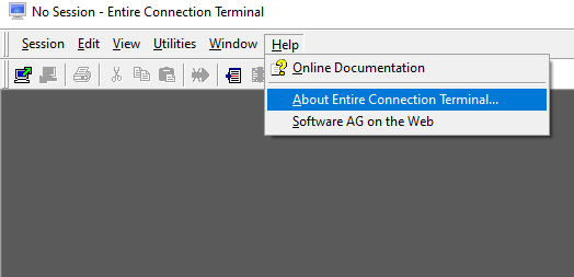 No Session - Entire Connection Terminal