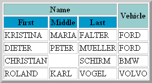 Example: downloaded XML data with style sheet