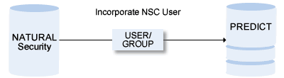 Basic workflow when incorporating Natural Security users.