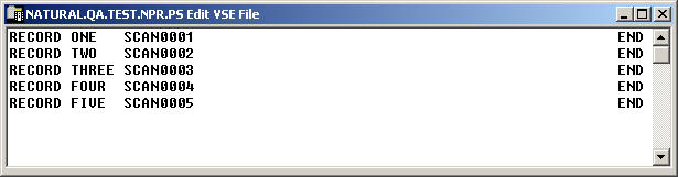 Edit window for VSE file