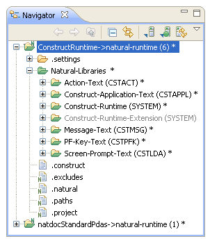 graphics/construct-runtime-project-in-navigator-view.png