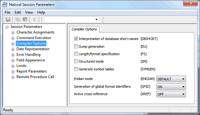 The Compiler options window.