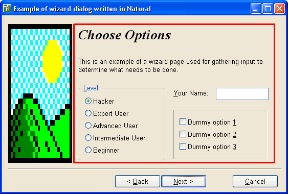 Wizard dialog
