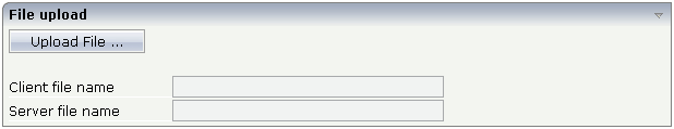 Upload File