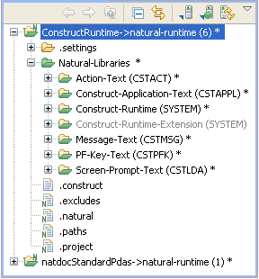 construct runtime project