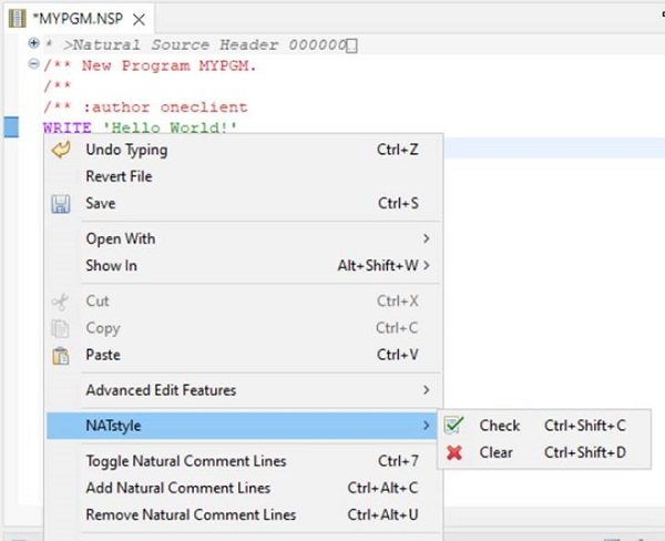 Source editor NATstyle