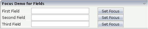 Focus Demo for Fields