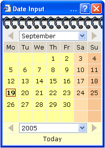Date Input