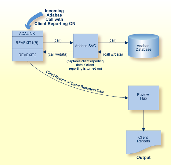 graphics/review_client_process.png