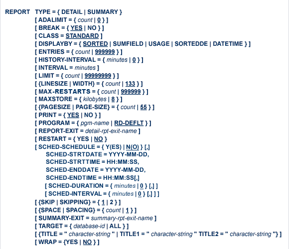 Pixel image of the REPORT sttement in detail. 