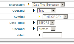 Data-Time Rule Expression Fields