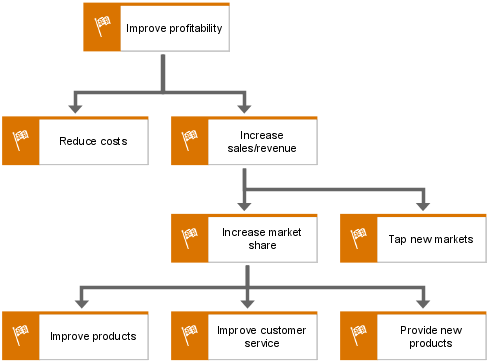 Objective diagram