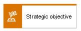 Strategic objective